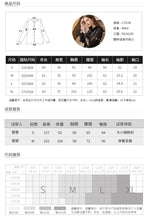 Load image into Gallery viewer, 2019 Spring new boutique women's temperament vertical collar pullover lady hundred catch snow spinning shirt 51019
