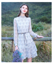 Load image into Gallery viewer, 2019 Autumn new women's dress vertical collar hollow Lotus leaf edge fairy dress temperament light lace dress 63176