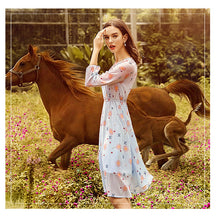 Load image into Gallery viewer, Spring 2009 New Women's Clothes V-neck Lantern Sleeve Printed Skirt Temperament Famous Chiffon Dress 69338