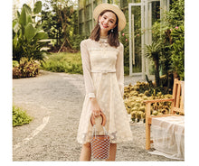 Load image into Gallery viewer, 2018 Winter brand new women's dress collar hollowed out a word skirt temperament lady lace dress 69135