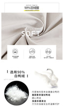 Load image into Gallery viewer, [Janfei] New winter 2008 women's wear with thick cap and cordage jacket, large hairneck down jacket 93075