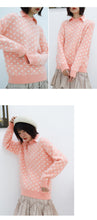 Load image into Gallery viewer, A sweater for women 2018 autumn and winter sable plaid long sleeve sweater fresh lapel sweater women 5173